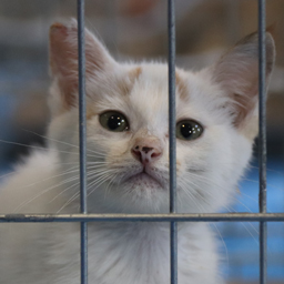 セブンマイルプログラムで支援する