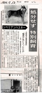 毎日新聞1993年7月13日(拡大画像)